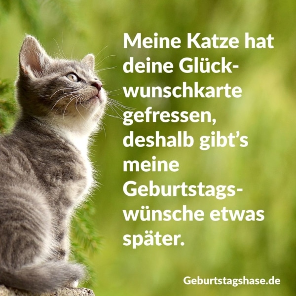 Schöne Geburtstagswünsche mit Bildern Geburtstagshase.de