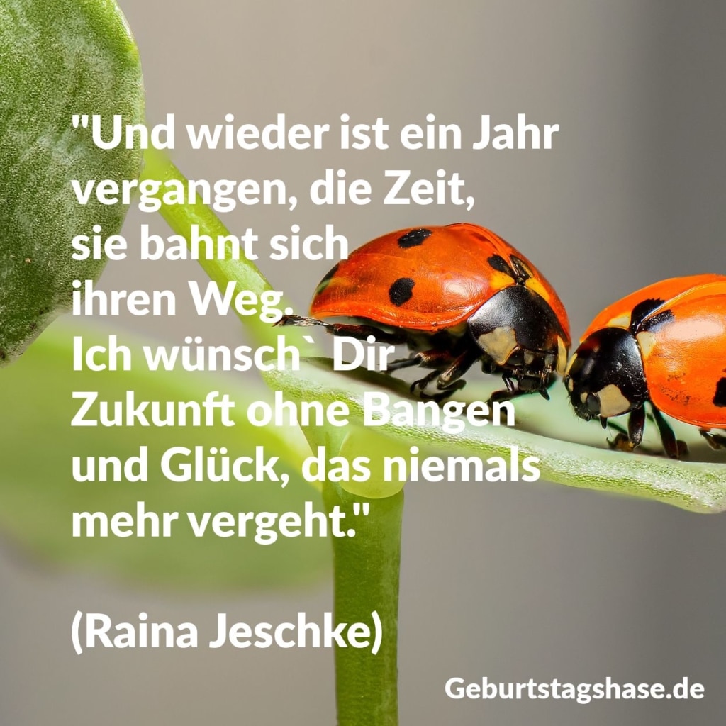 Und wieder ist ein Jahr vergangen, die Zeit, sie bahnt sich ihren Weg. Ich wünsch` Dir Zukunft ohne Bangen und Glück, das niemals mehr vergeht. Raina Jeschke