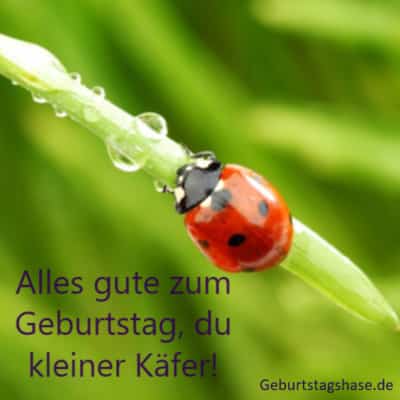 Glckwnsche Zum Geburtstag Texte Und Wnsche Zum Geburtstag Glckwnsche Zum Geburtstag Texte Und Wnsche Zum Geburtstag