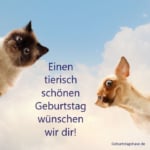 Lustiges Geburtstagsbild mit Tieren. Katze und Hund schauen in die Kamera.